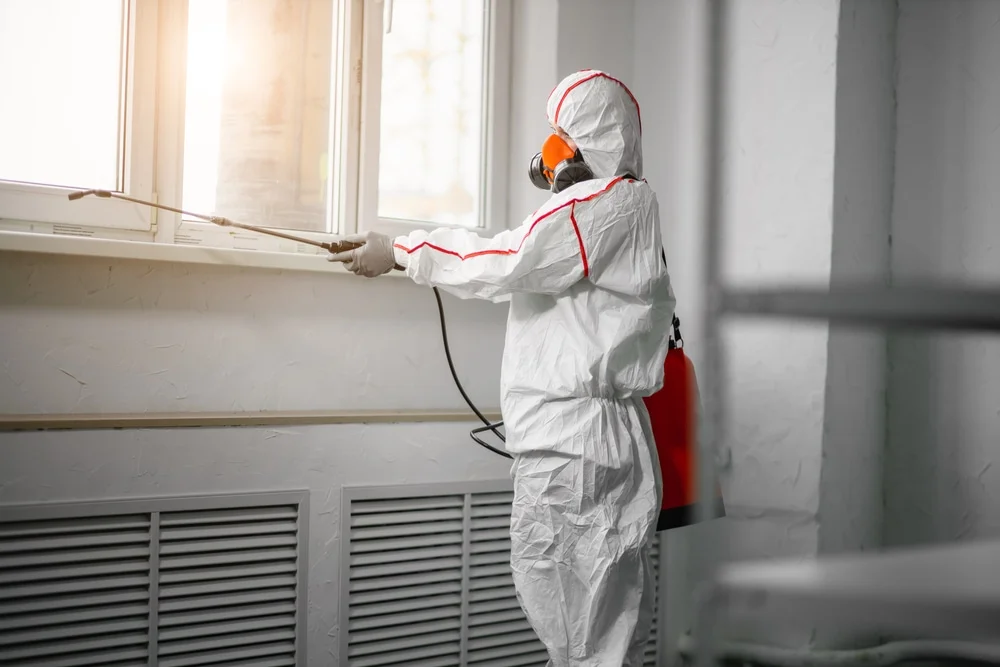 Professional mold remediation services in Hubbard, OR